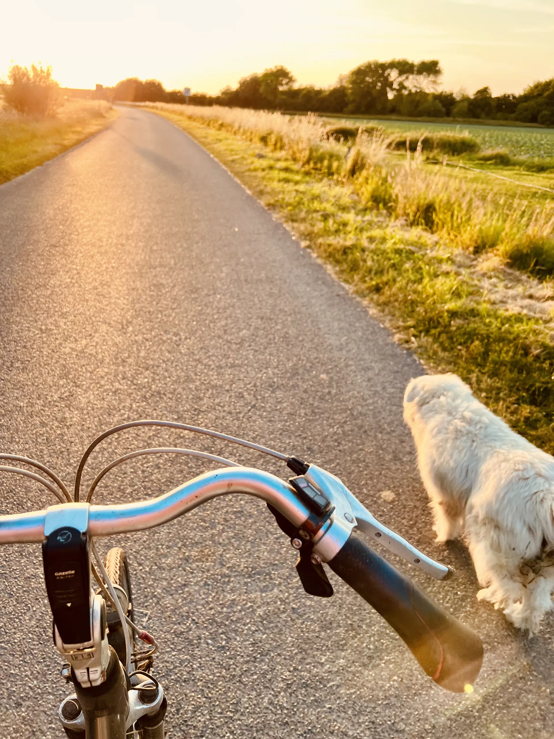 Radfahren