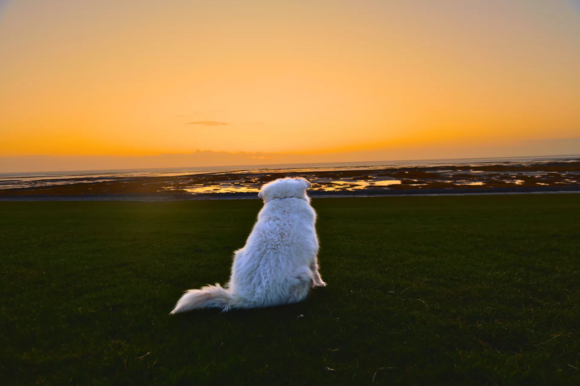 Sonnenuntergang an der Nordsee