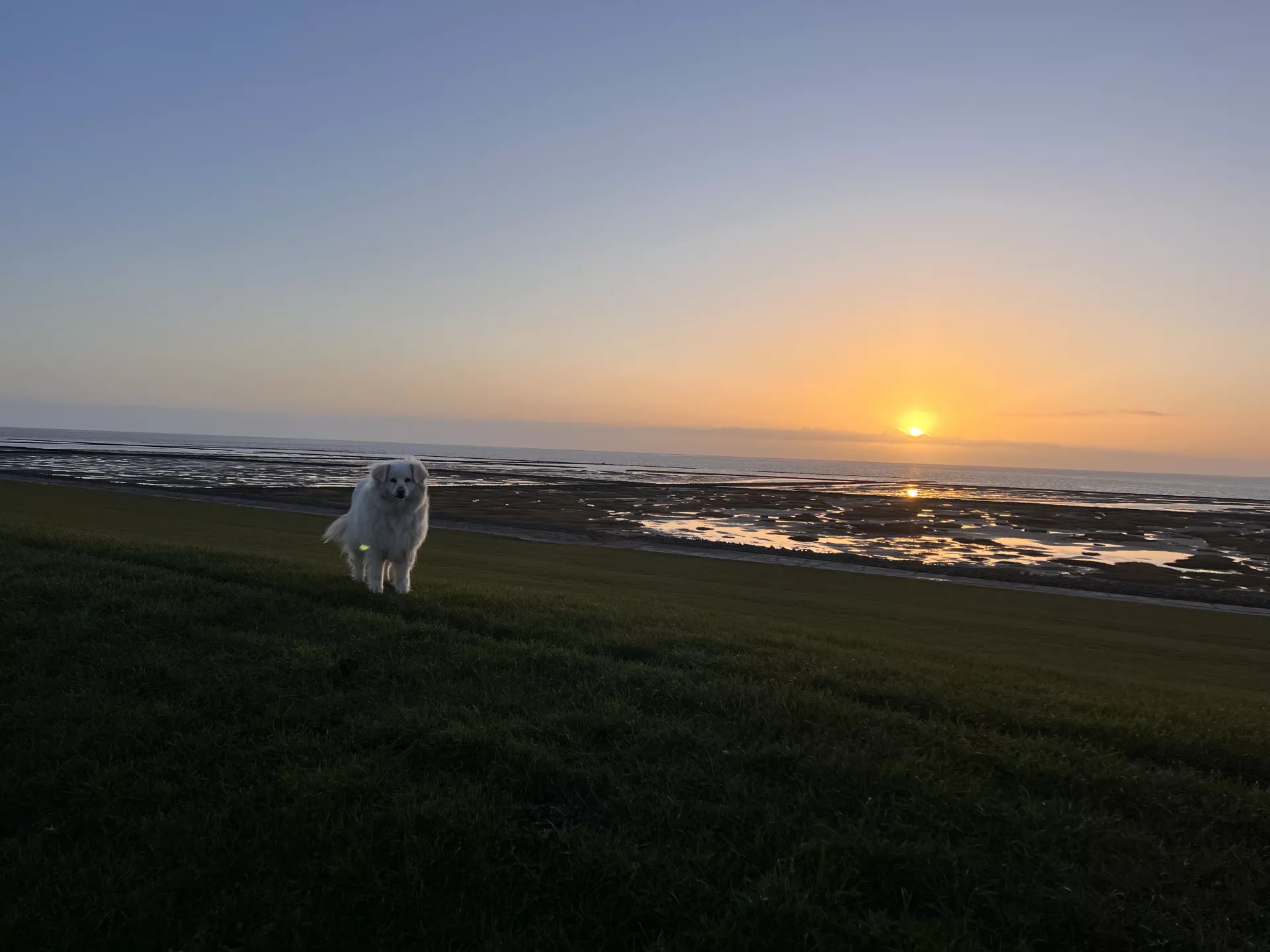 Buchen - Ferienhof Folger